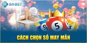 Cách Chọn Số May Mắn Được SHBET Hé Lộ Chi Tiết Nhất 2025