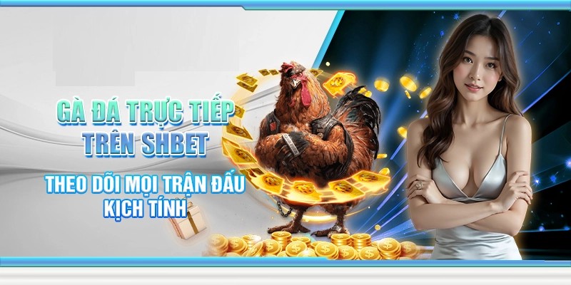 Đá gà SHBET là một trong những sảnh cược ăn khách hàng đầu tại nhà cái