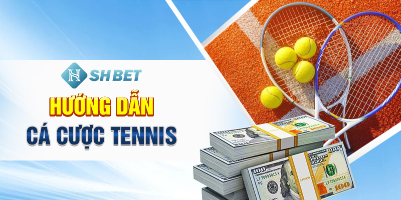 Hướng Dẫn Cá Cược Tennis Chuẩn Xác Cho Người Mới Tại SHBET