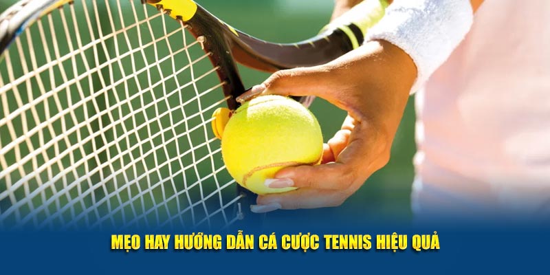 Mẹo hay hướng dẫn cá cược tennis hiệu quả