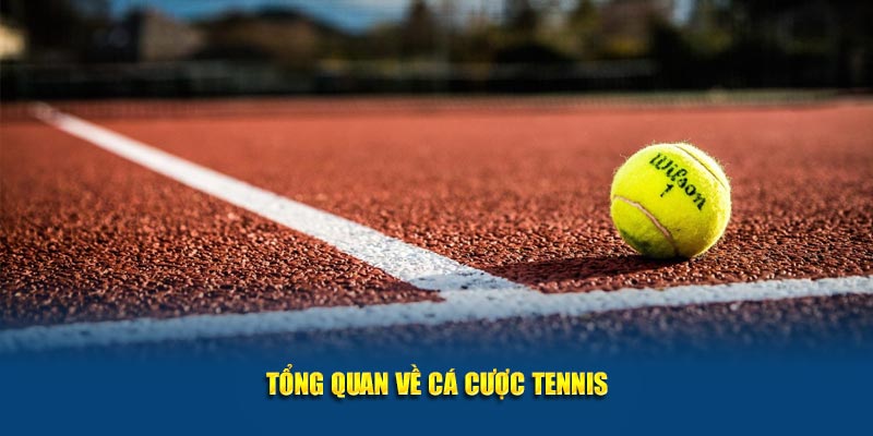 Tổng quan về cá cược tennis