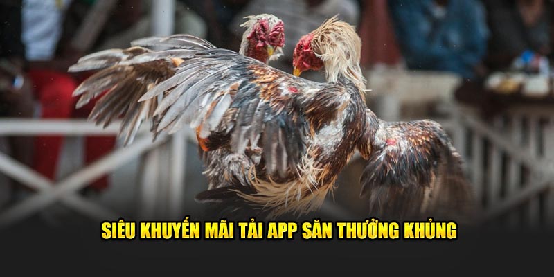 Siêu khuyến mãi tải app săn thưởng khủng