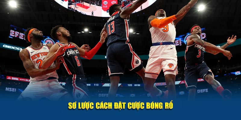 Sơ lược cách đặt cược bóng rổ